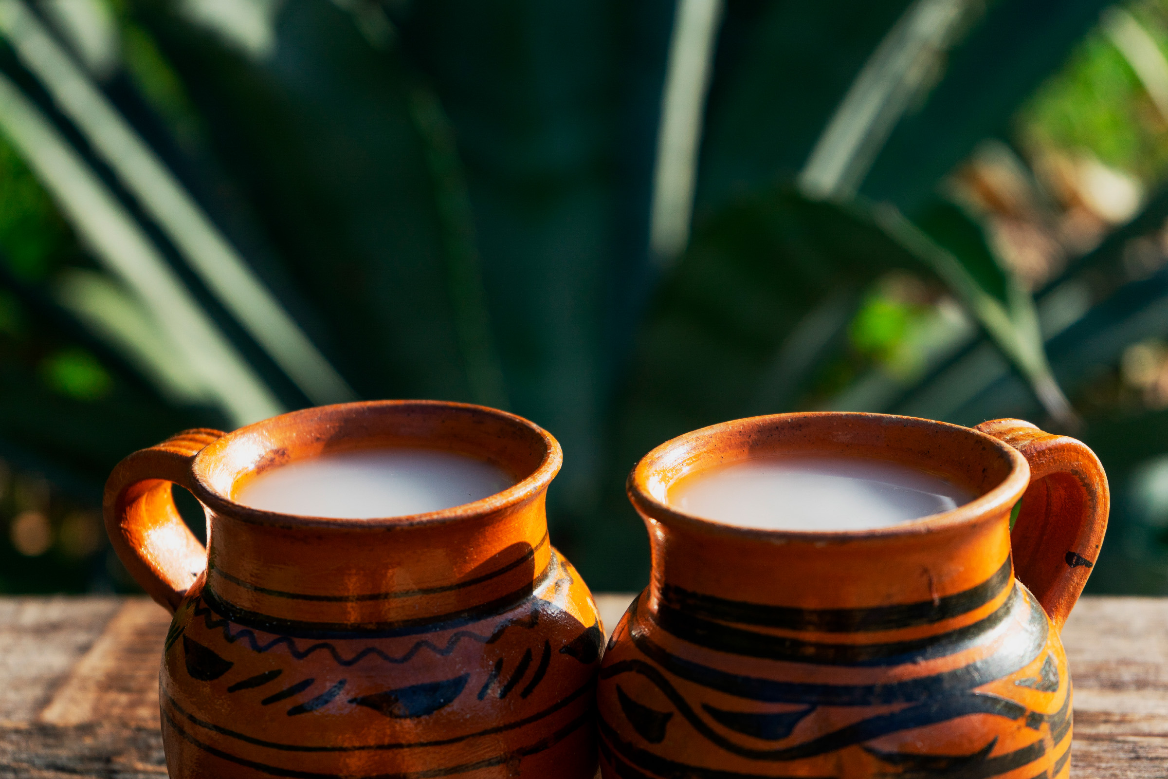 Pulque | GlobeQuest Blog